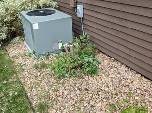 Bush Trimming by Jonathan Erber for H P. in Apple Valley, MN