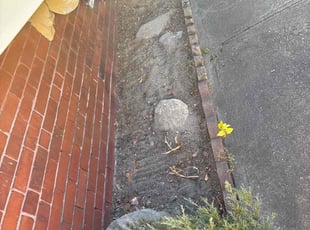 Cleanups by Matthew Achey for Michael C. in Providence, RI