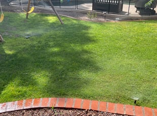Cleanups by Aaron Flores for Sherie K. in Phoenix, AZ