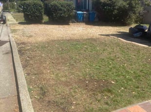 Michael W.'s Cleanups service result