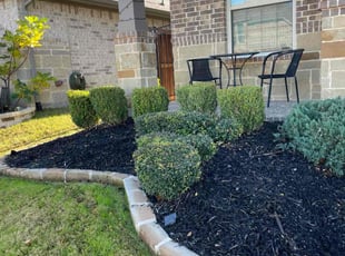 Weeding by Severa Rosie Lara for Laura F. in Euless, TX