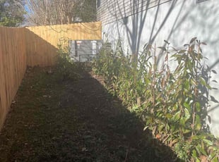 Bush Trimming by Lora Thoren for Asong N. in Franklin, TN