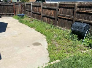 Weeding by Adameus Marcum for Teresa O. in Denver, CO