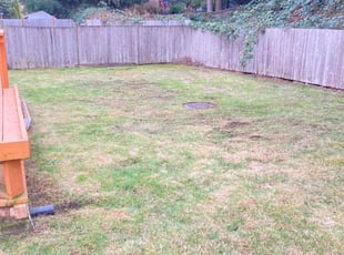Leaf Removal by Trevor Vert for Nik P. in University Place, WA