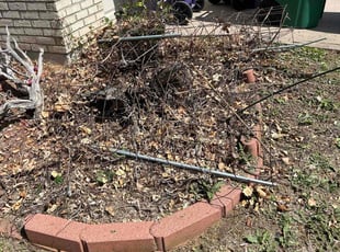 Weeding by Devin Brown for Brittany S. in Denver, CO