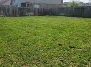 Cleanups by Hugo Melgar for Anmar a. in Richmond, TX