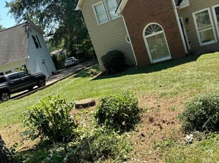 Cleanups by Ethan Wright for Guilherme F. in Powder Springs, GA