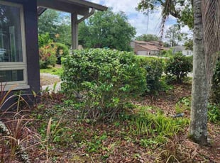 Bush Trimming by Cari Butler for Daniel L. in Tampa, FL