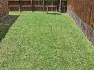 Cleanups by Ernest Howard for Kimberley P. in Frisco, TX