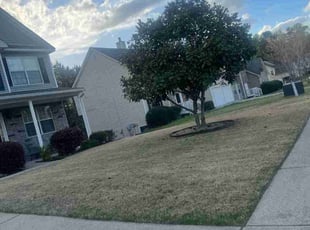 Rahmel M.'s Yard Cutting service result