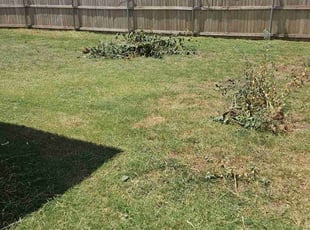 Cleanups by Matt Garrett for Catherine C. in Yukon, OK
