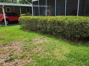Chris C.'s Bush Trimming service result