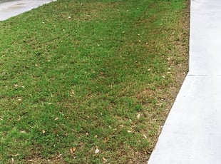 Leaf Removal by Derek Schoenfeld for Angela M. in San Antonio, TX