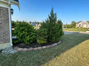 Weeding by Blake Andersen for Sreekumar D. in Liberty Township, OH
