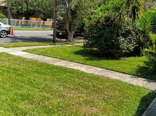 Joyce O.'s Lawn Care service result
