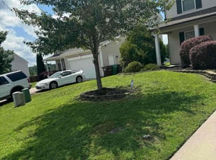 William M.'s Lawn Care service result