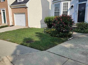 Keith G.'s Lawn Mowing service result