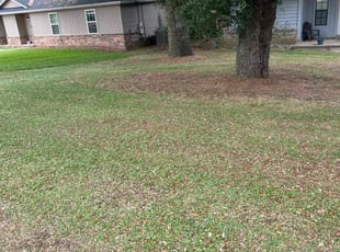 Leaf Removal by Shaun Gaston for Jill M. in Pensacola, FL