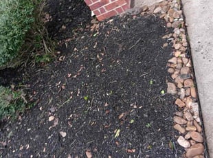 Cleanups by Ana Zelaya for Sandra S. in Pearland, TX