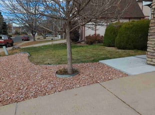 Leaf Removal by Johnny Hines for Joyce S. in Aurora, CO