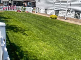 Ben R.'s Lawn Care service result