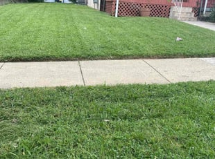 Shellz B.'s Grass Cutting service result