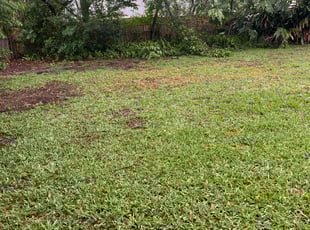 Cleanups by Jessica Springer for Anthony S. in Dade City, FL