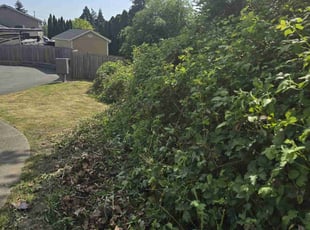 Bush Trimming by Roland Quidachay for Daytona T. in Tacoma, WA