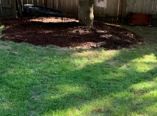 Mulching by Kelvin Dertz for Matt J. in Milwaukee, WI
