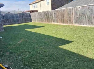 LASONYA H.'s Lawn Mowing service result