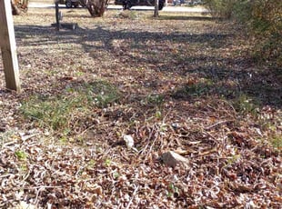 Cleanups by Johnny Hathaway for LaToya D. in Murfreesboro, TN