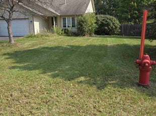 Jennifer N.'s Lawn Care service result