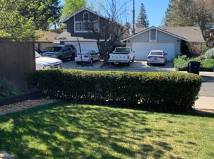 Bush Trimming by Jonathan Allen for Vu H. in Sacramento, CA
