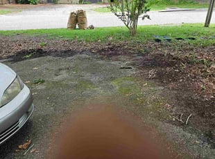 Linda B.'s Cleanups service result