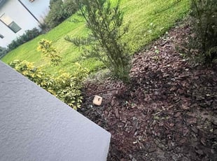 Weeding by Jeffrey Cummins Jr for Shreya P. in Parrish, FL