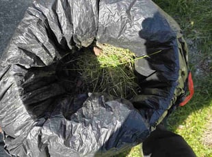 Cleanups by Erik Bullens for Erin M. in Indianapolis, IN