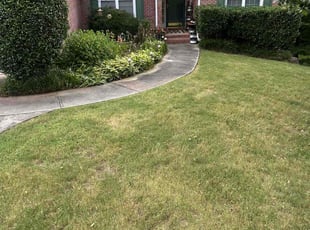 Mark W.'s Bush Trimming service result