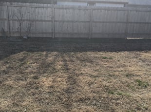 Cleanups by Adam Herridge for Jane H. in Wichita, KS
