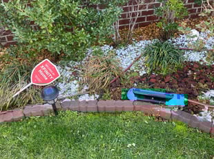 Weeding by Melvin Pryor for Angeline M. in Mt. Juliet, TN