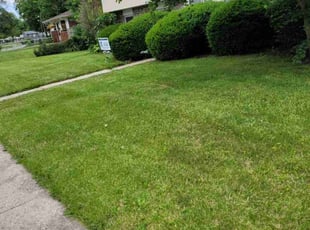 Bush Trimming by Jeremiah Hinkle for Stephen C. in Powell, OH