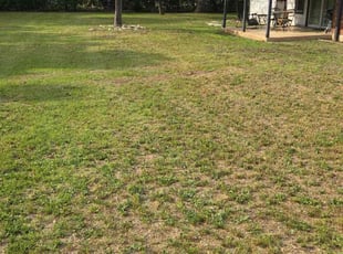 Bush Trimming by Keily Delgado Preciado for Eniola A. in Leander, TX