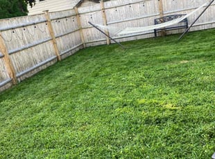 Florence B.'s Lawn Mowing service result