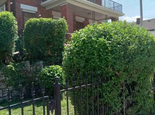Bush Trimming by Amanda Fogel for Joann S. in Kansas City, MO