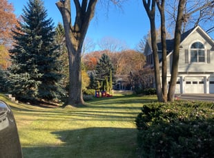 Cleanups by Matson Courrier for Patrick D. in Minneapolis, MN