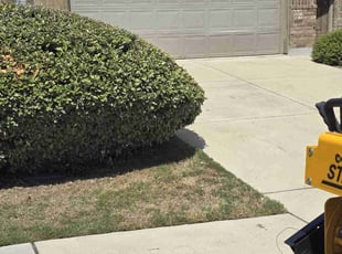 Catherine T.'s Lawn Maintenance service result