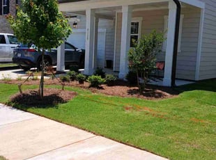 Candace D.'s Lawn Maintenance service result