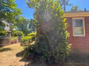 Bush Trimming by Joshua West for Mark F. in Richmond, VA