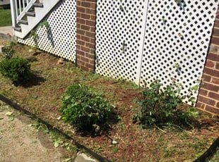 Weeding by Aaron Kinchen for Janice F. in Richmond, VA