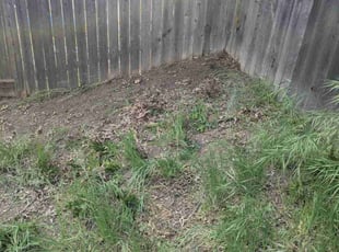 Cleanups by Steven Werry for Chrisdy W. in Antelope, CA