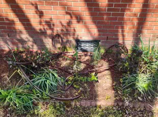 Leaf Removal by Jay M for MacKenzie P. in Norfolk, VA